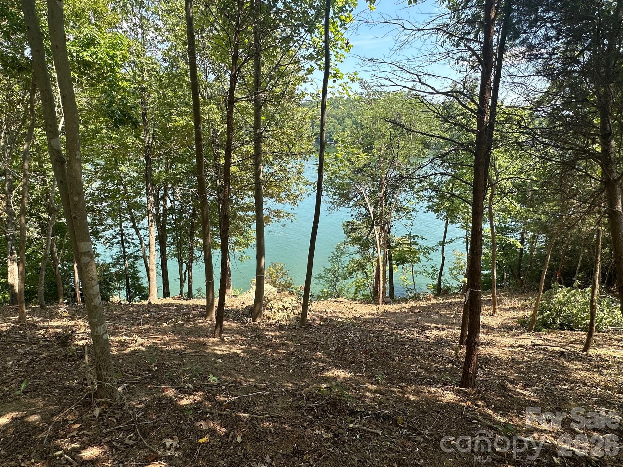 000 Holmstead Drive Lake Lure NC 28746