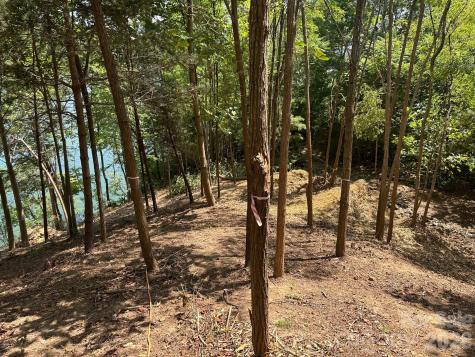 000 Holmstead Drive Lake Lure NC 28746