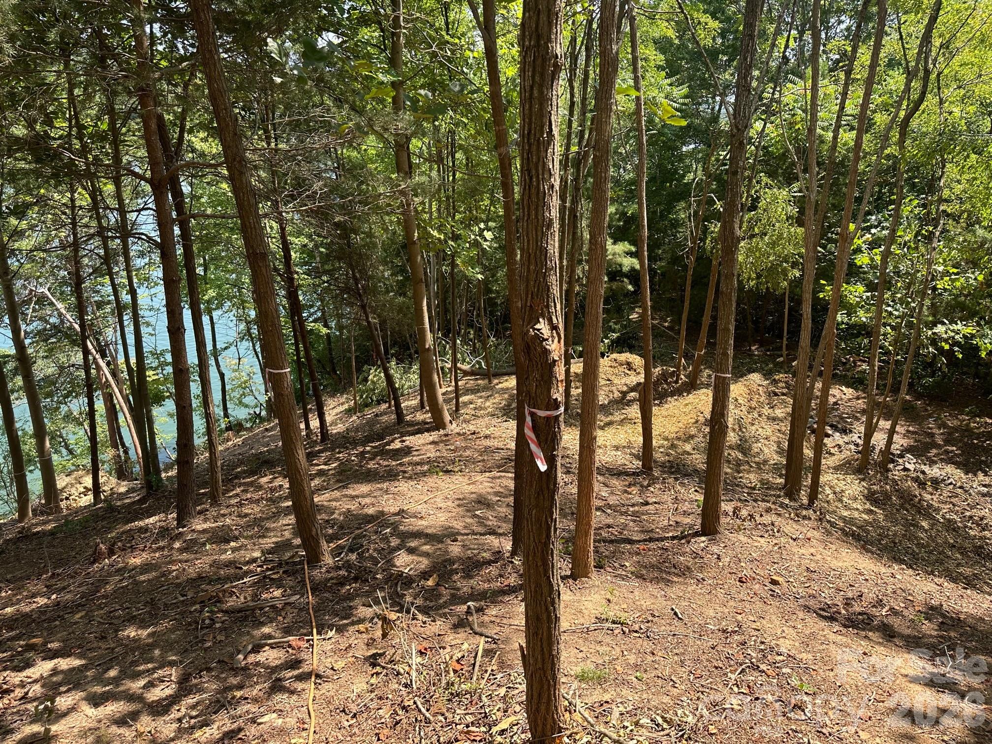 000 Holmstead Drive Lake Lure NC 28746