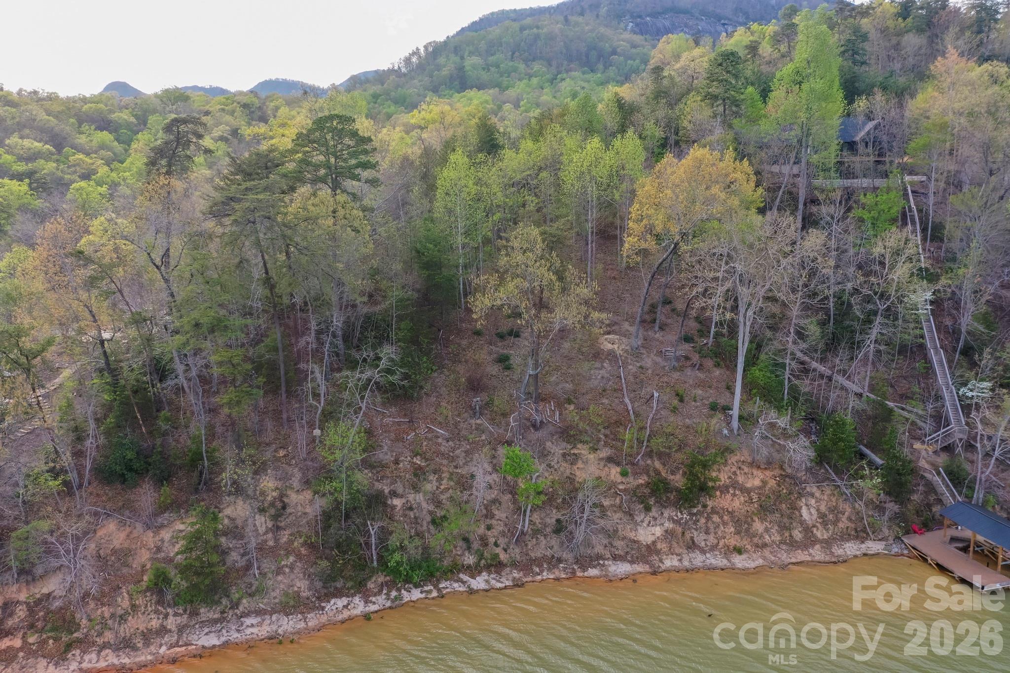 000 Holmstead Drive Lake Lure NC 28746