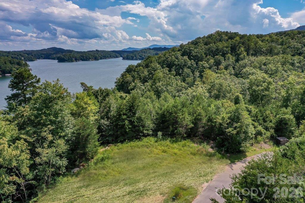 000 Holmstead Drive Lake Lure NC 28746