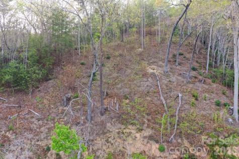 000 Holmstead Drive Lake Lure NC 28746