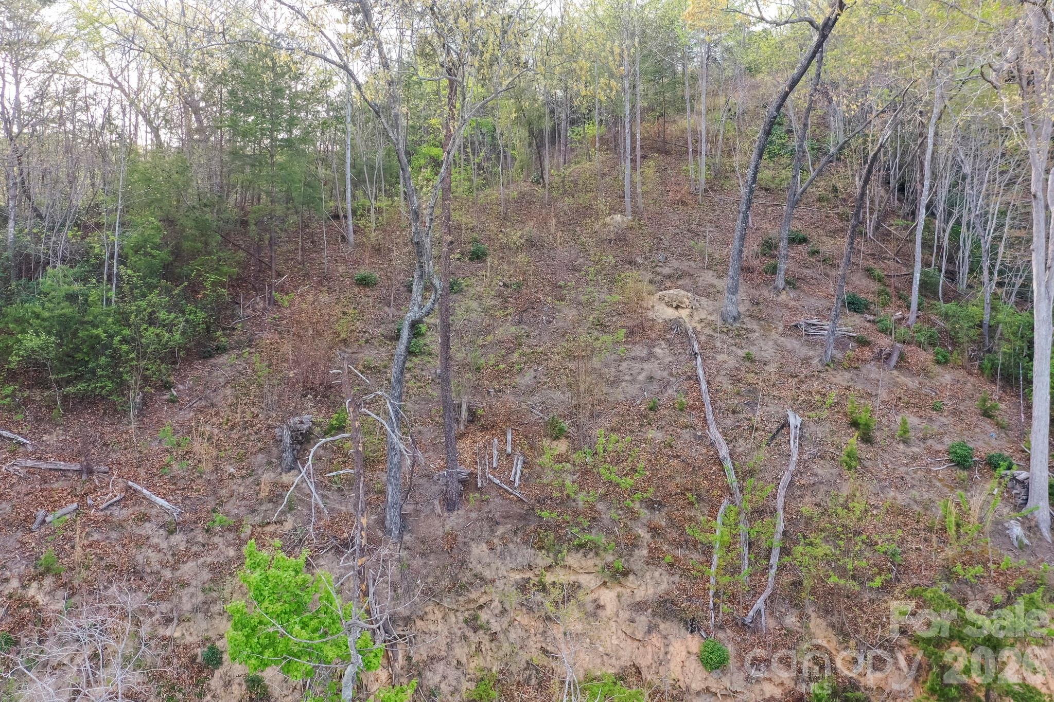 000 Holmstead Drive Lake Lure NC 28746