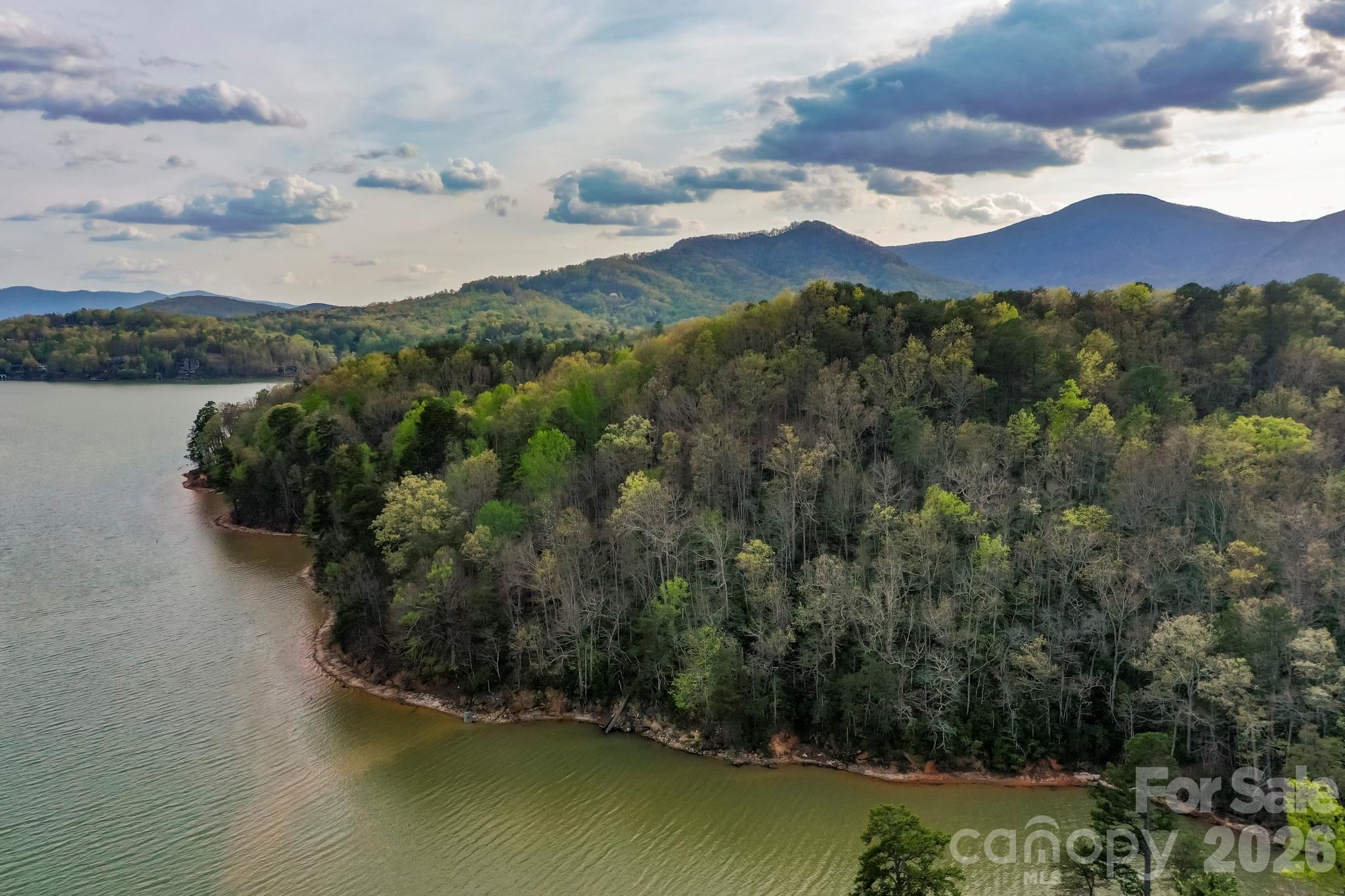 000 Holmstead Drive Lake Lure NC 28746