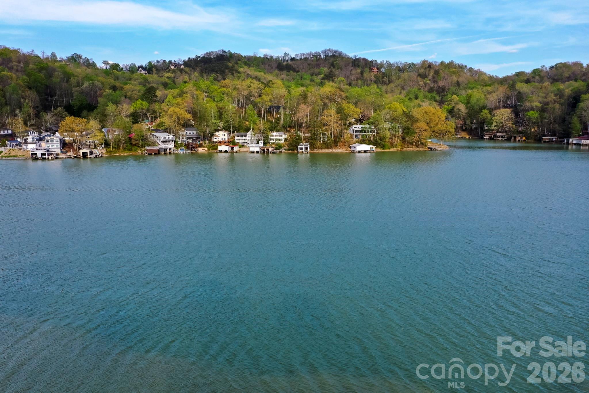 000 Holmstead Drive Lake Lure NC 28746