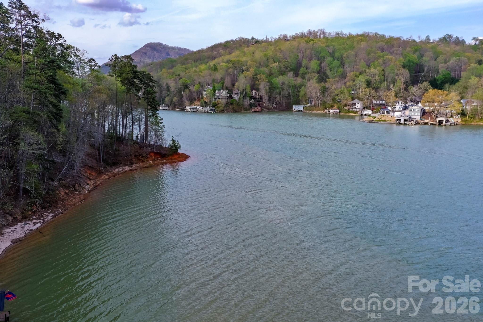 000 Holmstead Drive Lake Lure NC 28746