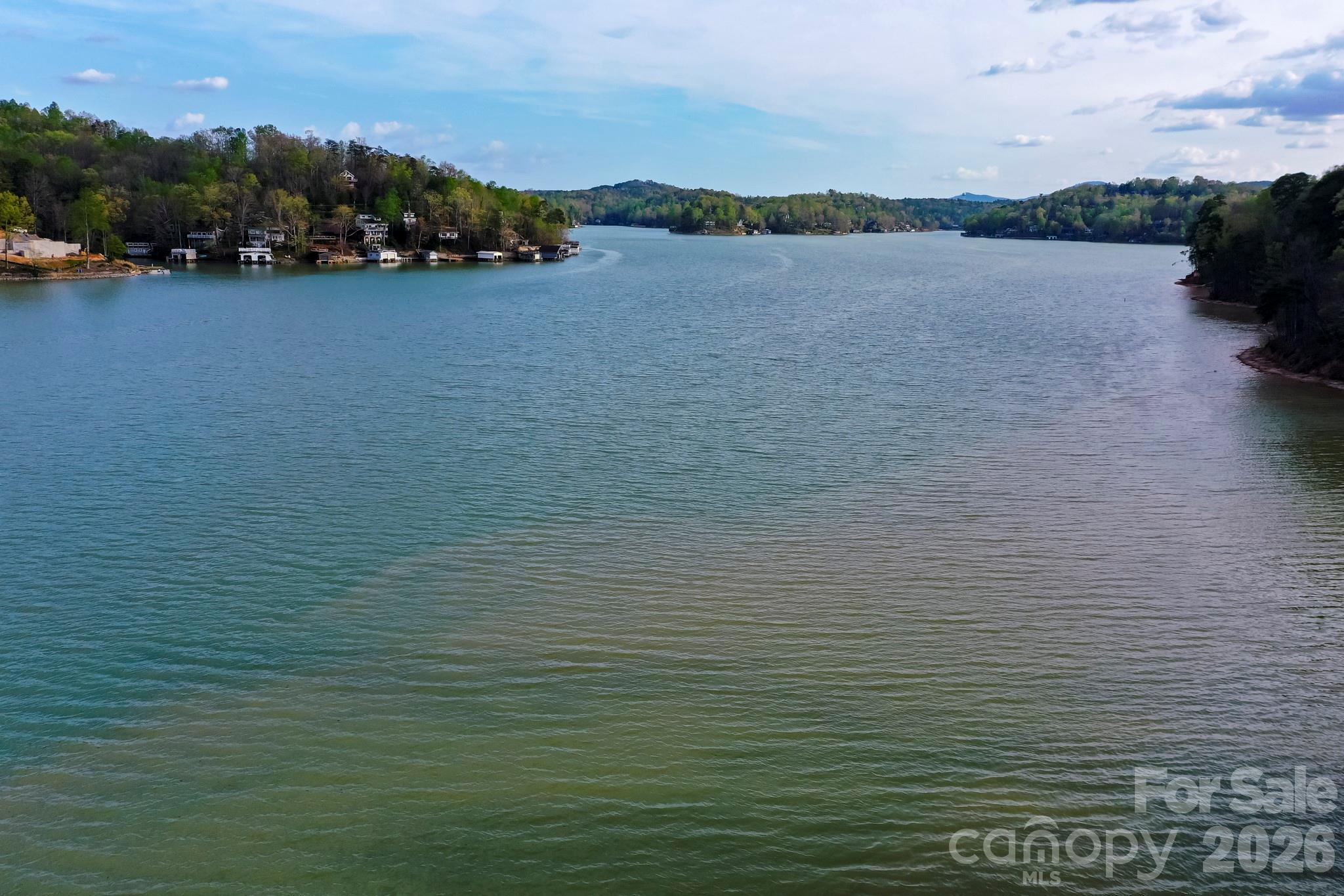 000 Holmstead Drive Lake Lure NC 28746
