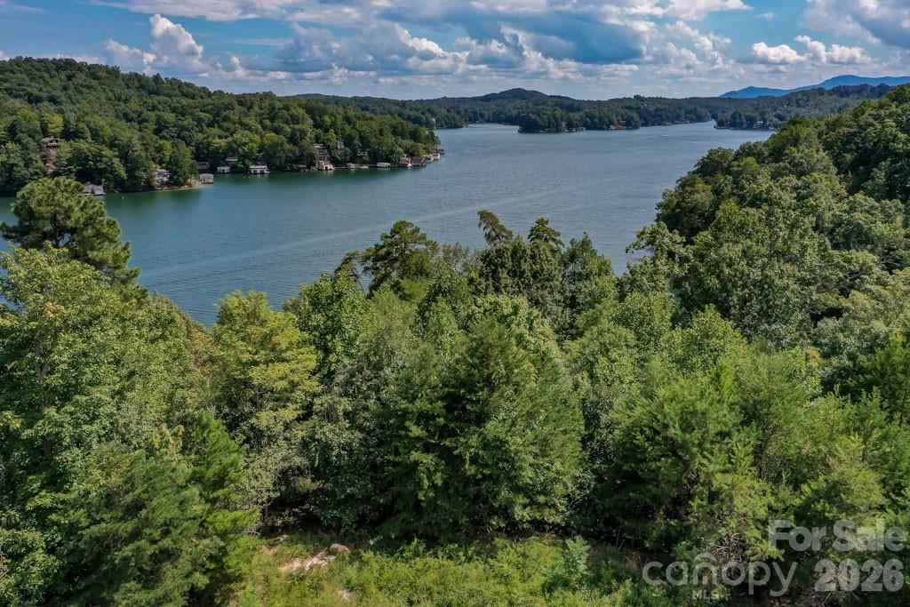000 Holmstead Drive Lake Lure NC 28746