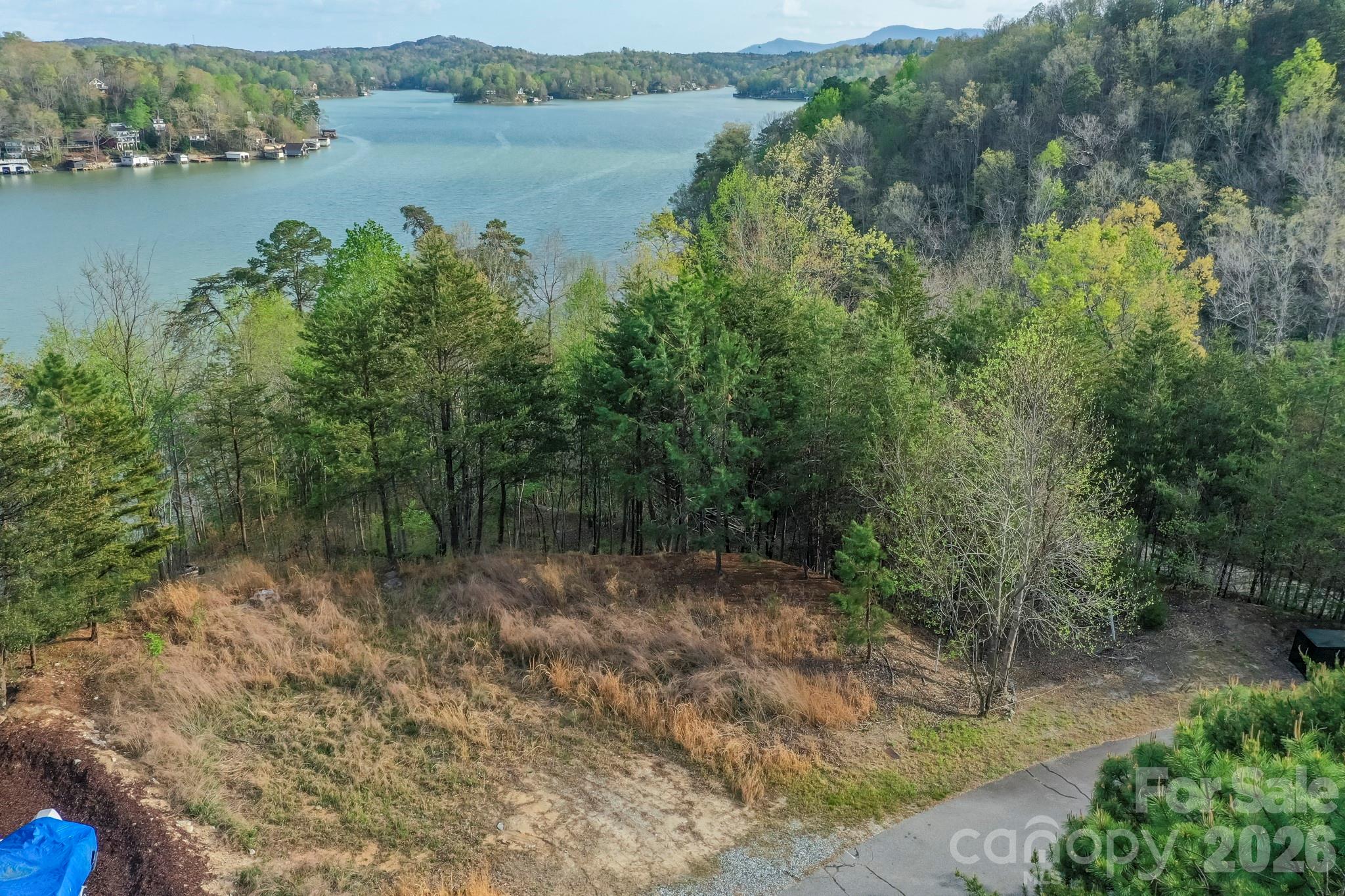 000 Holmstead Drive Lake Lure NC 28746