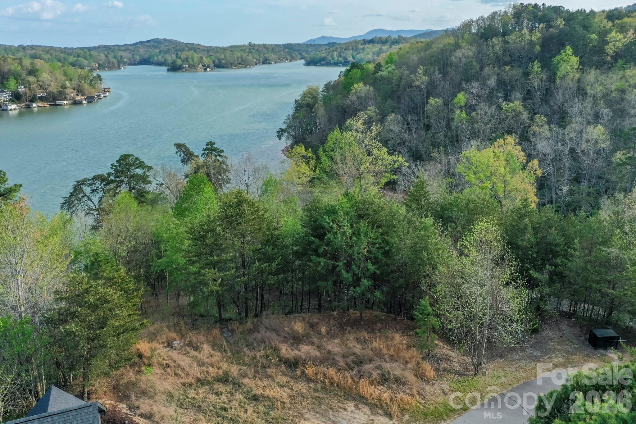 000 Holmstead Drive Lake Lure NC 28746
