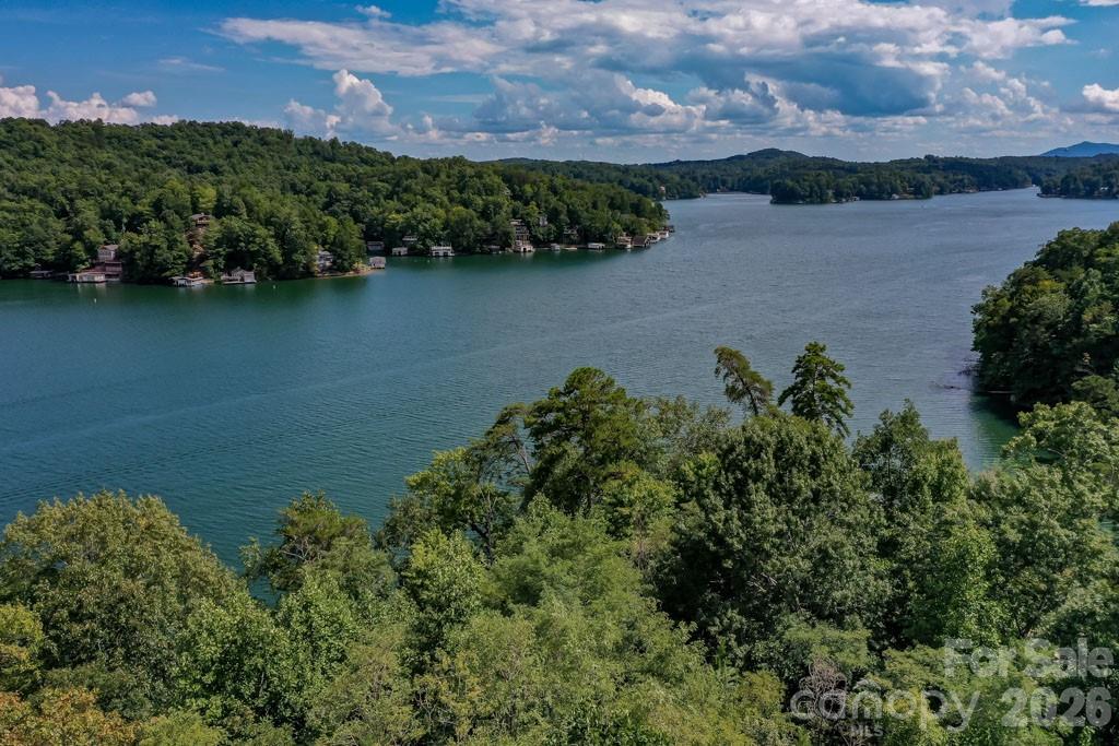 000 Holmstead Drive Lake Lure NC 28746