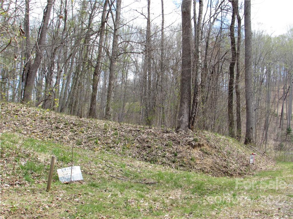 E-18 & 17 Red Wolf Run Mars Hill NC 28754