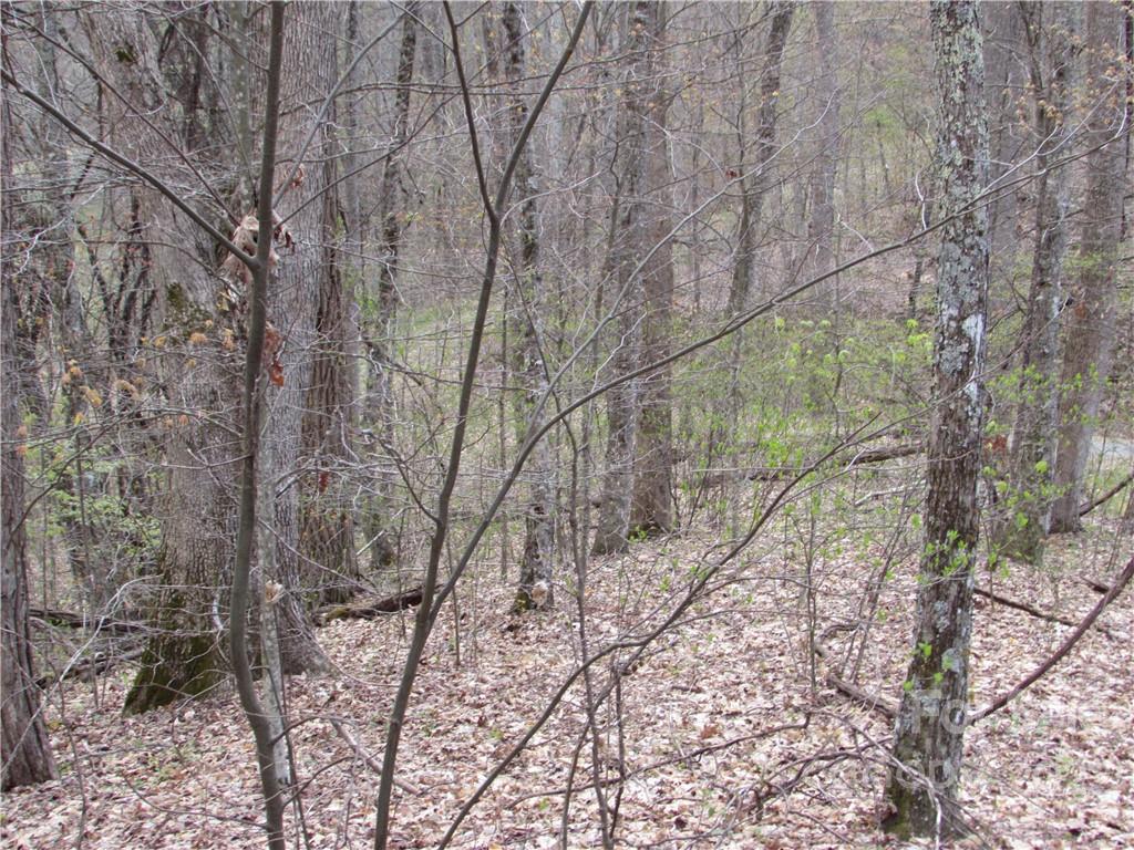 E-18 & 17 Red Wolf Run Mars Hill NC 28754