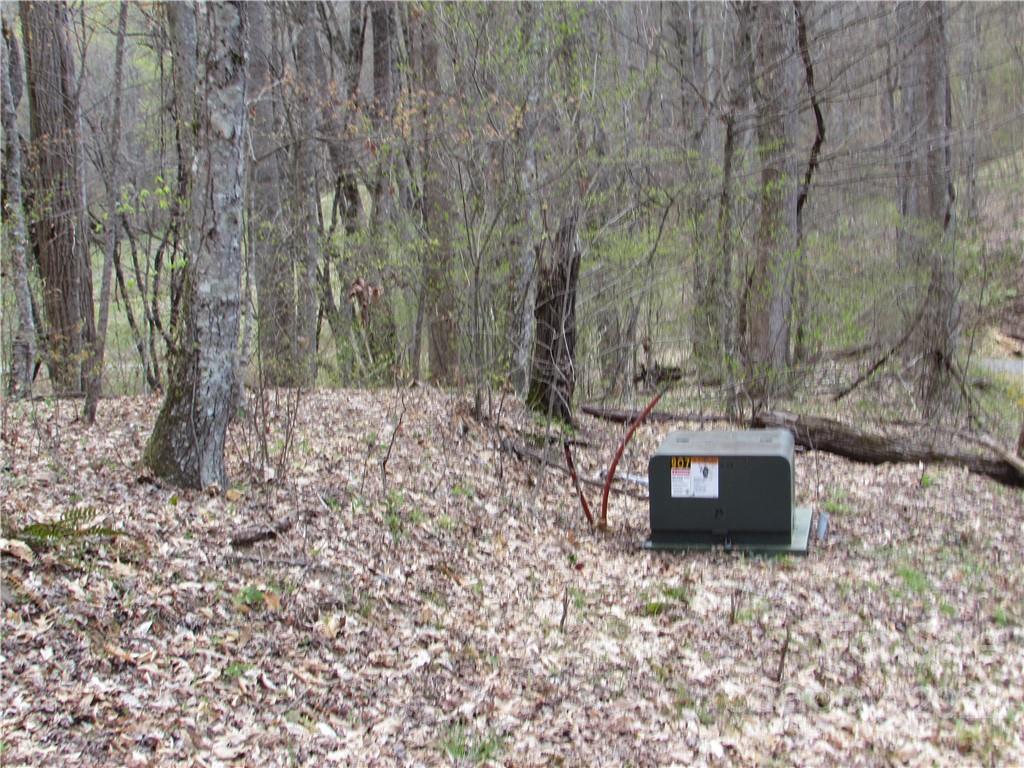 E-18 & 17 Red Wolf Run Mars Hill NC 28754
