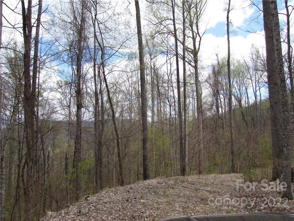 E-18 & 17 Red Wolf Run Mars Hill NC 28754