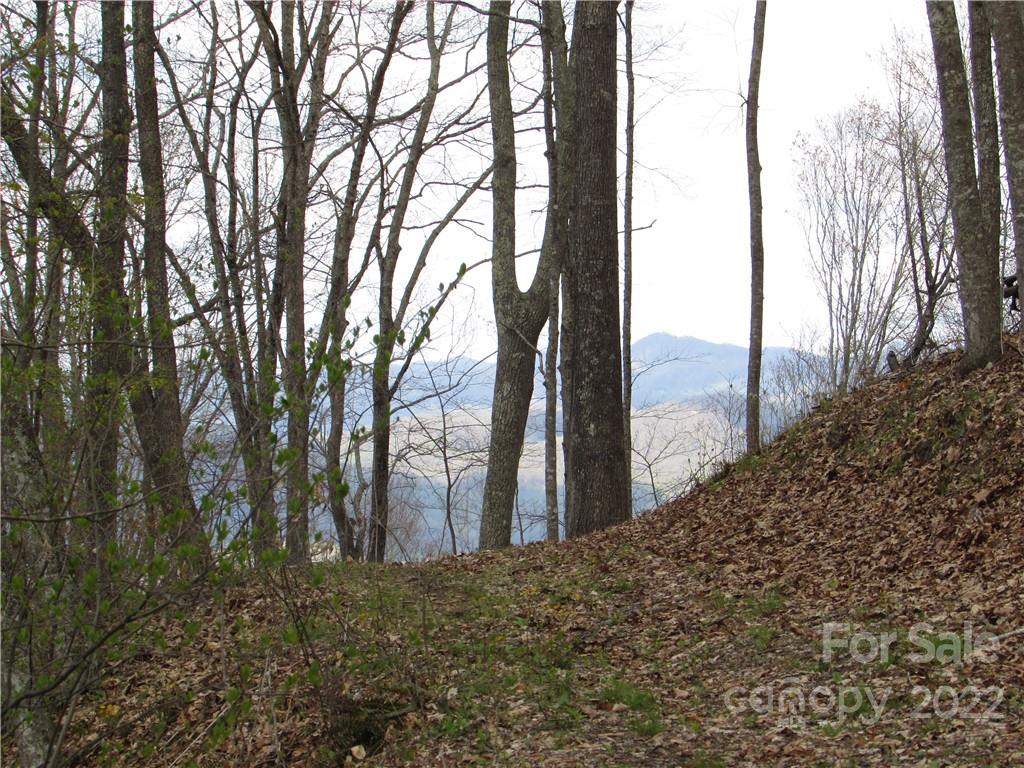 E-18 & 17 Red Wolf Run Mars Hill NC 28754
