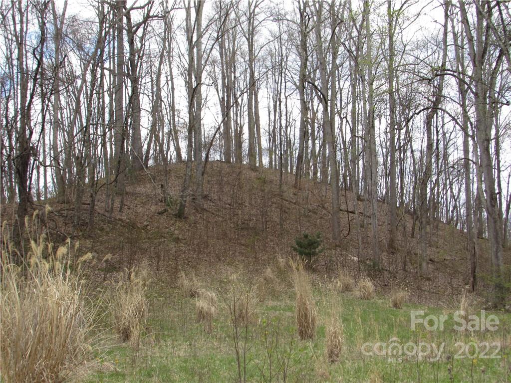 E-18 & 17 Red Wolf Run Mars Hill NC 28754