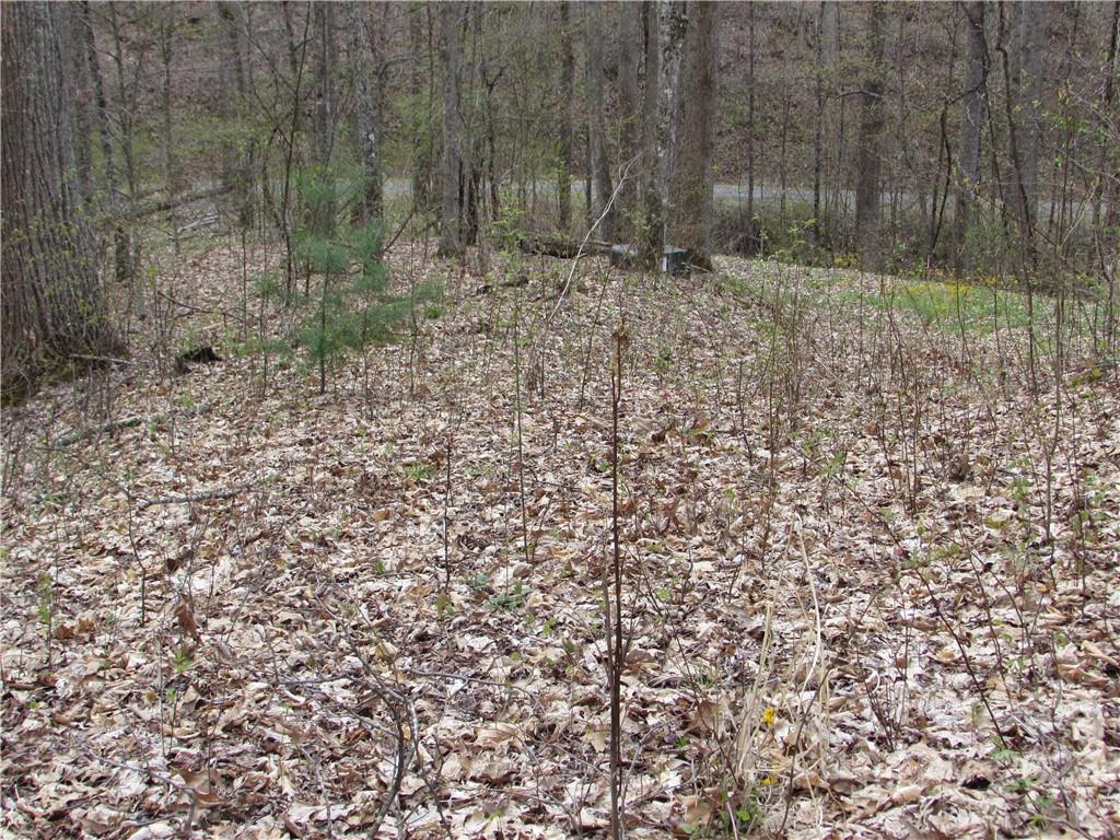 E-18 & 17 Red Wolf Run Mars Hill NC 28754