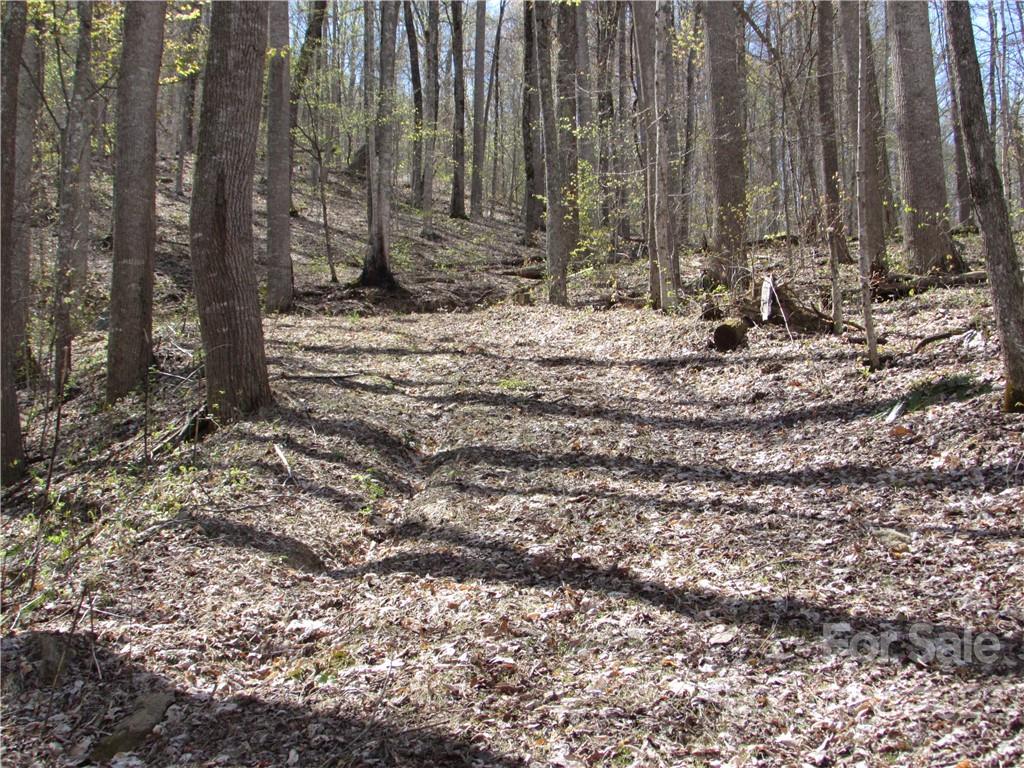E-18 & 17 Red Wolf Run Mars Hill NC 28754
