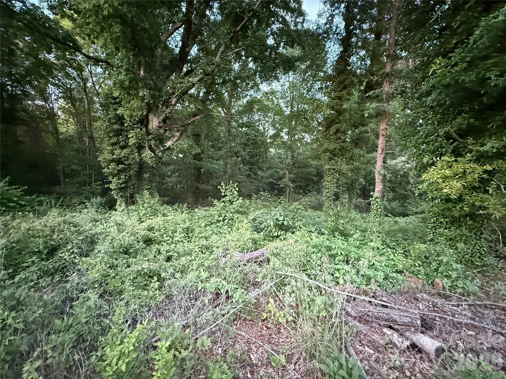 306 Elysian Drive Mooresville NC 28117