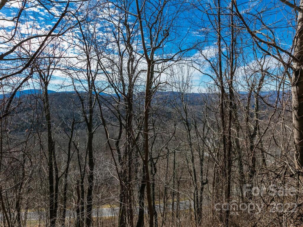 11F Red Bud Lane Laurel Park NC 28739