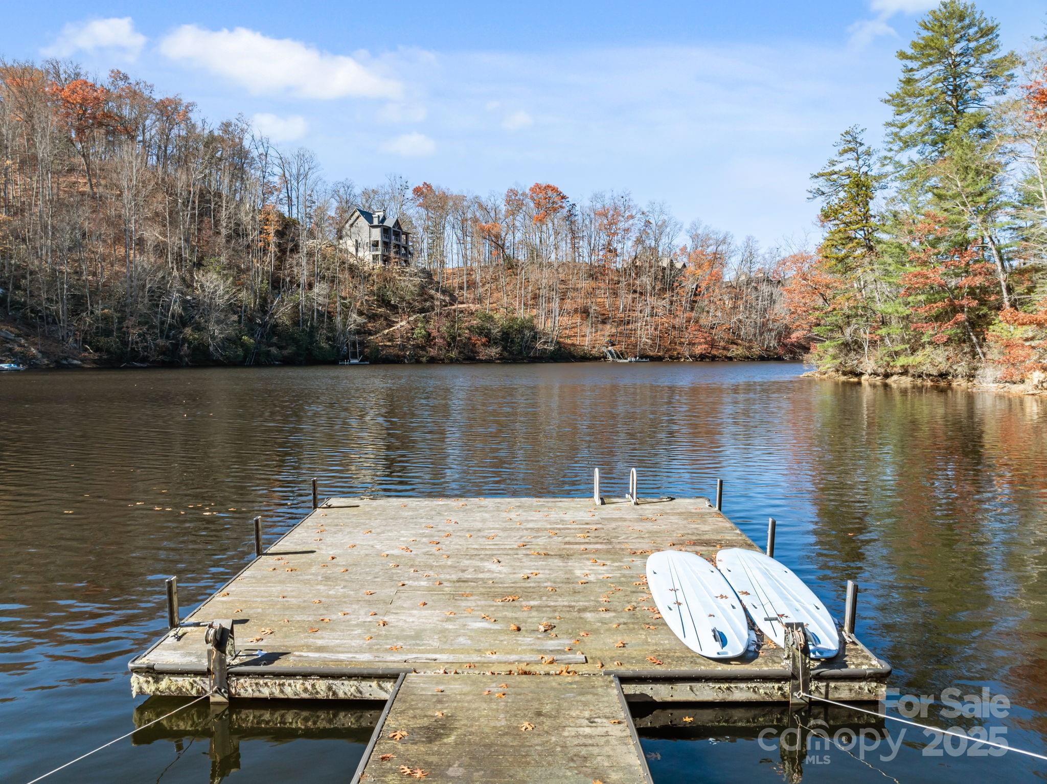 151 Trout Lily Lane Tuckasegee NC 28783
