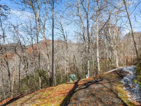151 Trout Lily Lane Tuckasegee NC 28783