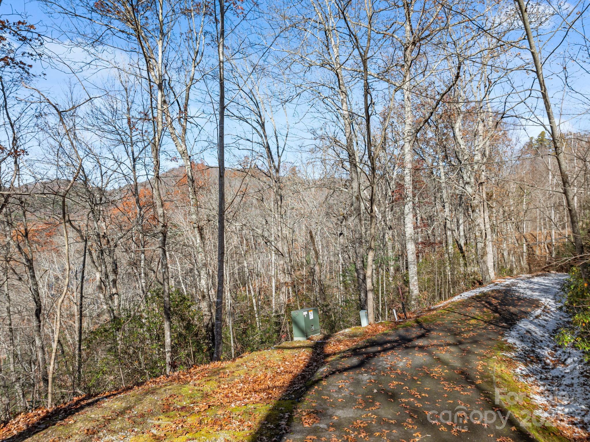 151 Trout Lily Lane Tuckasegee NC 28783