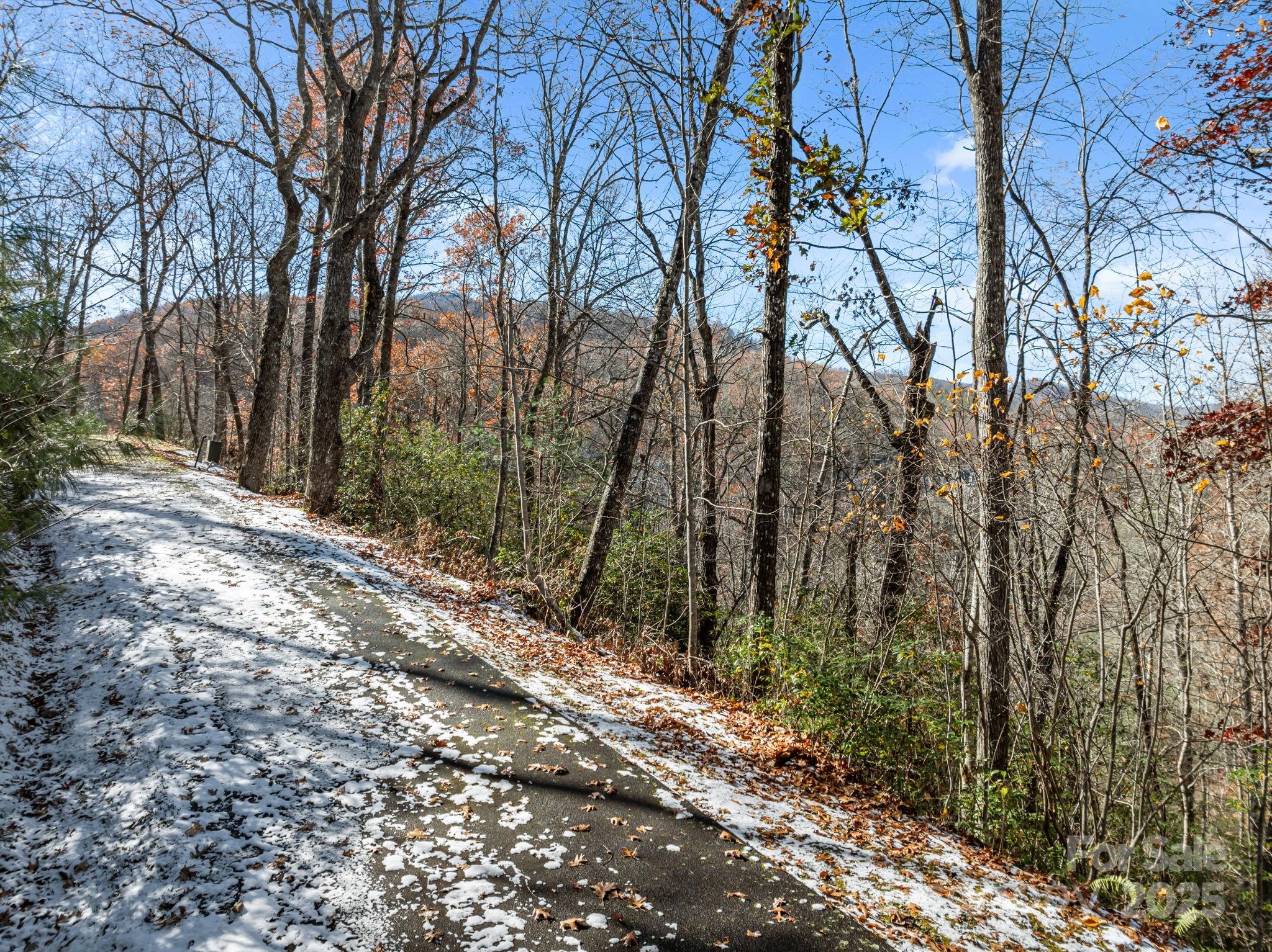 151 Trout Lily Lane Tuckasegee NC 28783