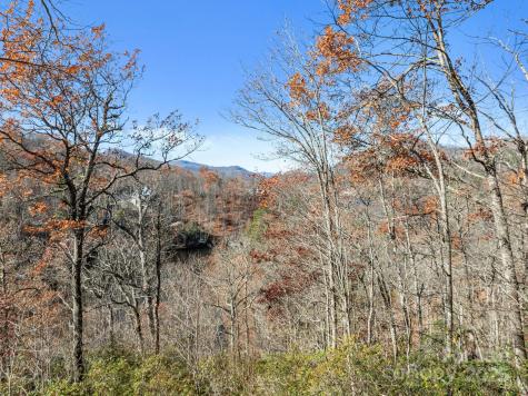 151 Trout Lily Lane Tuckasegee NC 28783