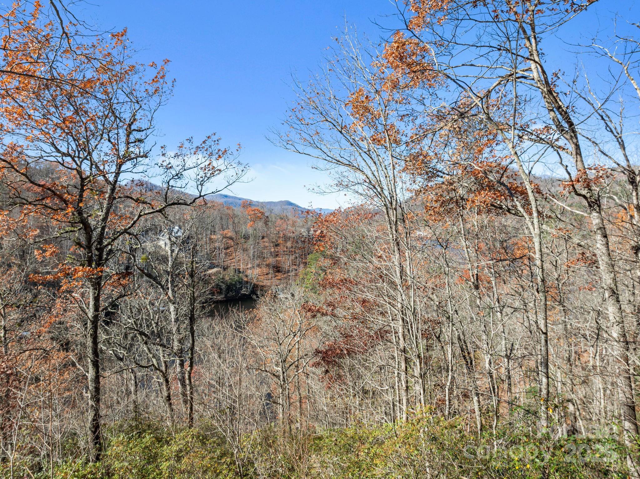 151 Trout Lily Lane Tuckasegee NC 28783