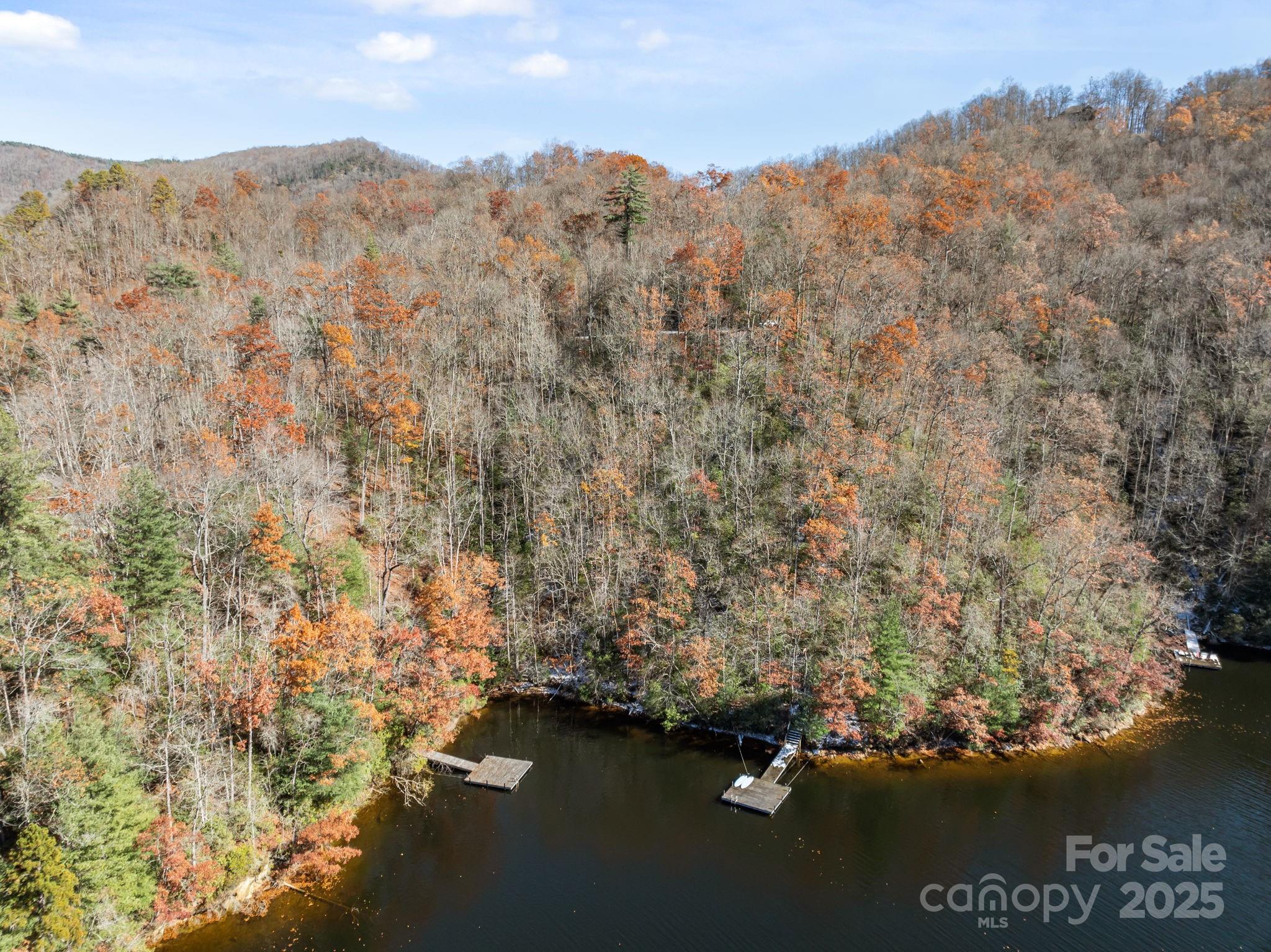 151 Trout Lily Lane Tuckasegee NC 28783