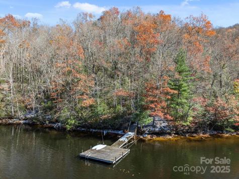 151 Trout Lily Lane Tuckasegee NC 28783