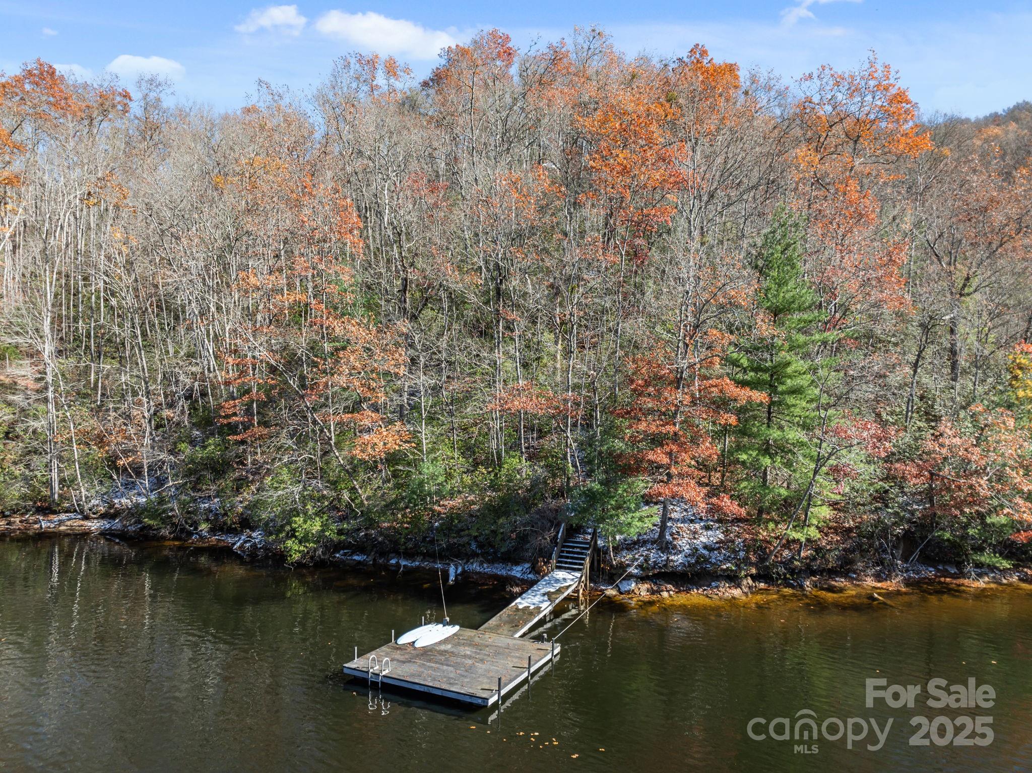 151 Trout Lily Lane Tuckasegee NC 28783