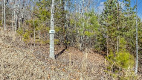 Tbd Coal Pit Mountain Road Nebo NC 28761