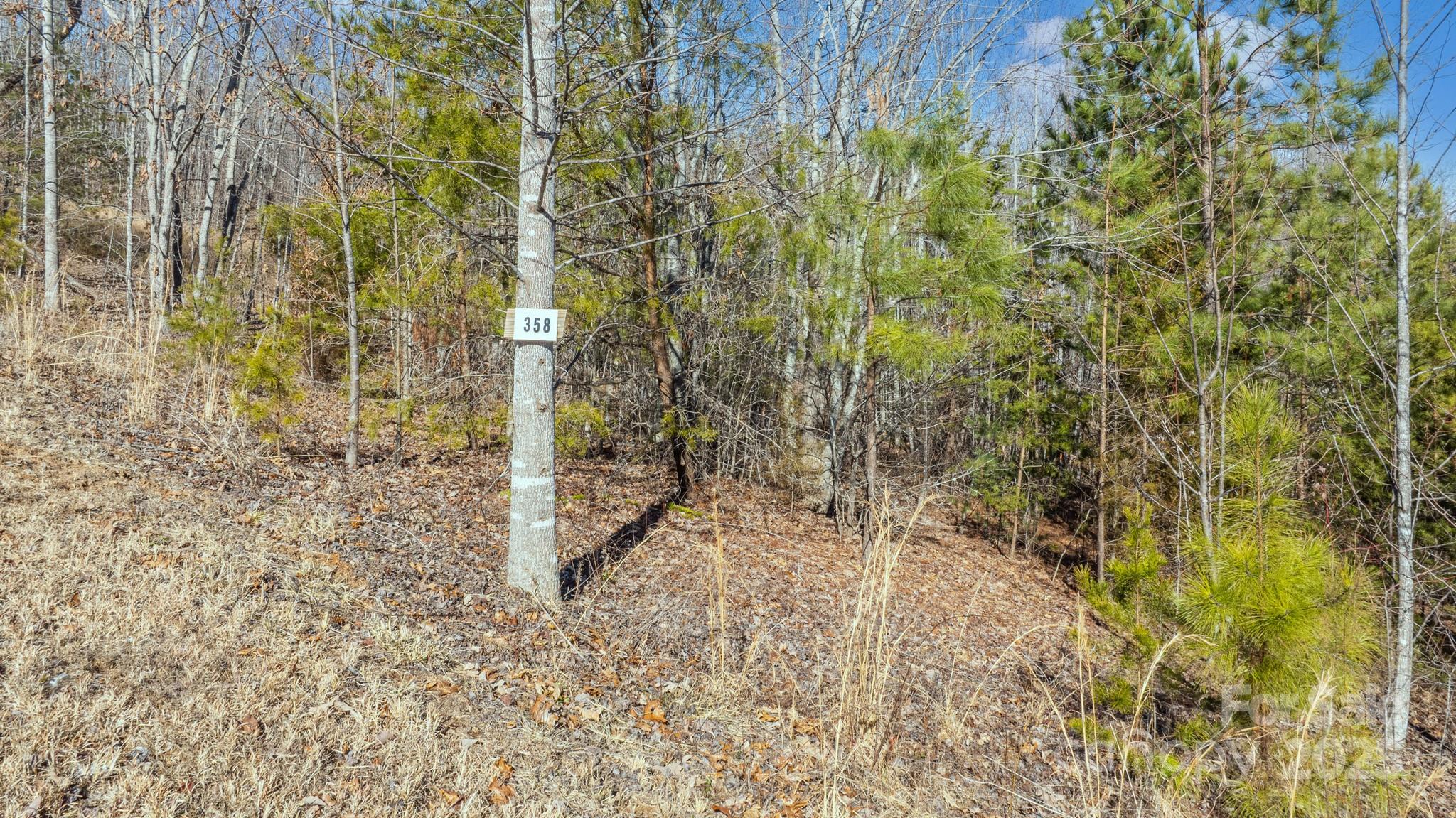 Tbd Coal Pit Mountain Road Nebo NC 28761