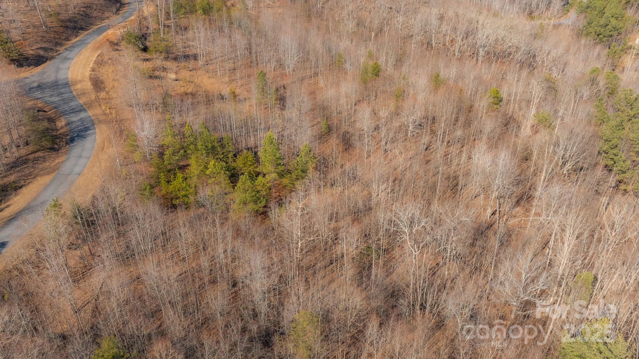 Tbd Coal Pit Mountain Road Nebo NC 28761