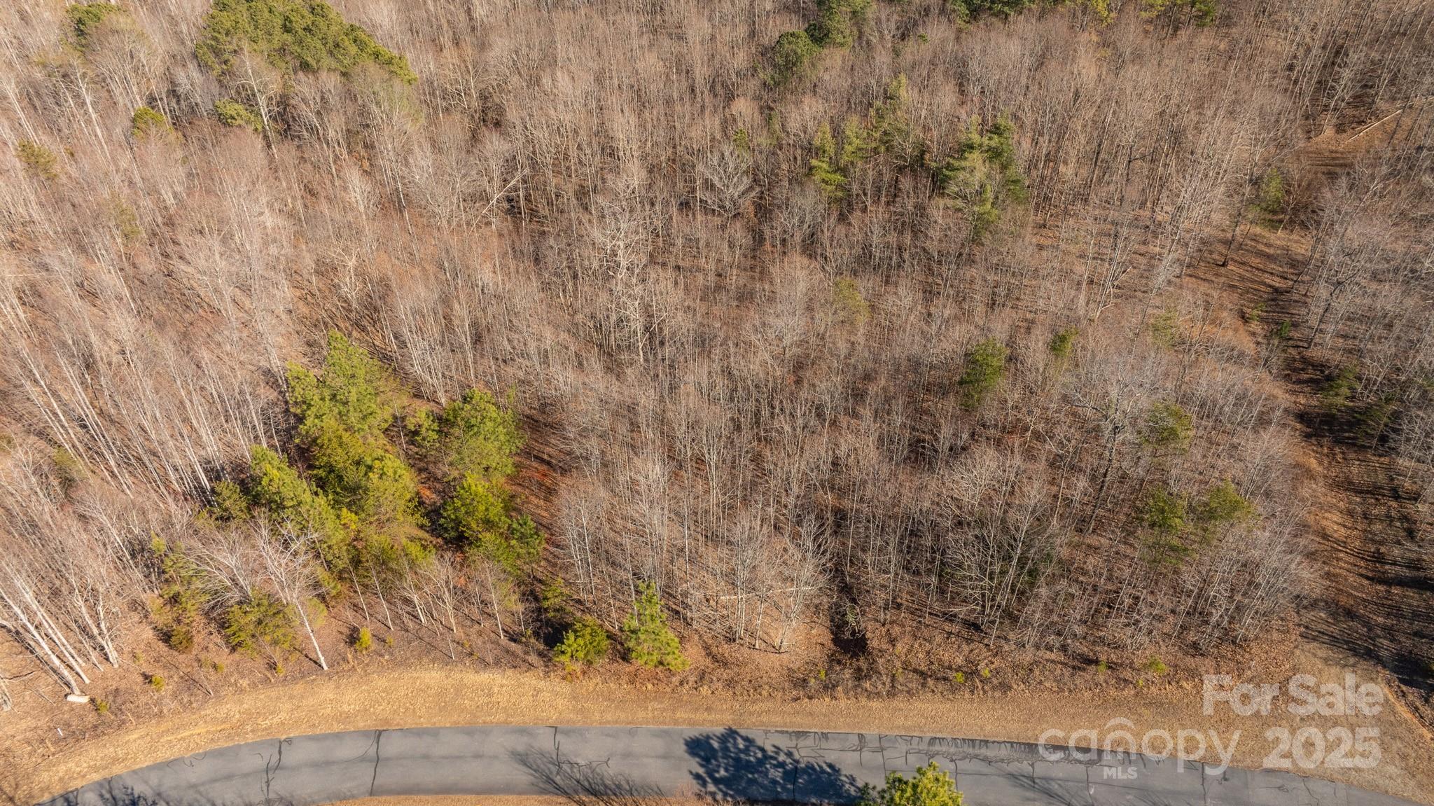 Tbd Coal Pit Mountain Road Nebo NC 28761