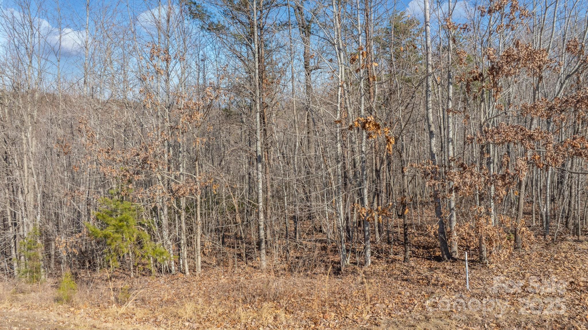 Tbd Coal Pit Mountain Road Nebo NC 28761