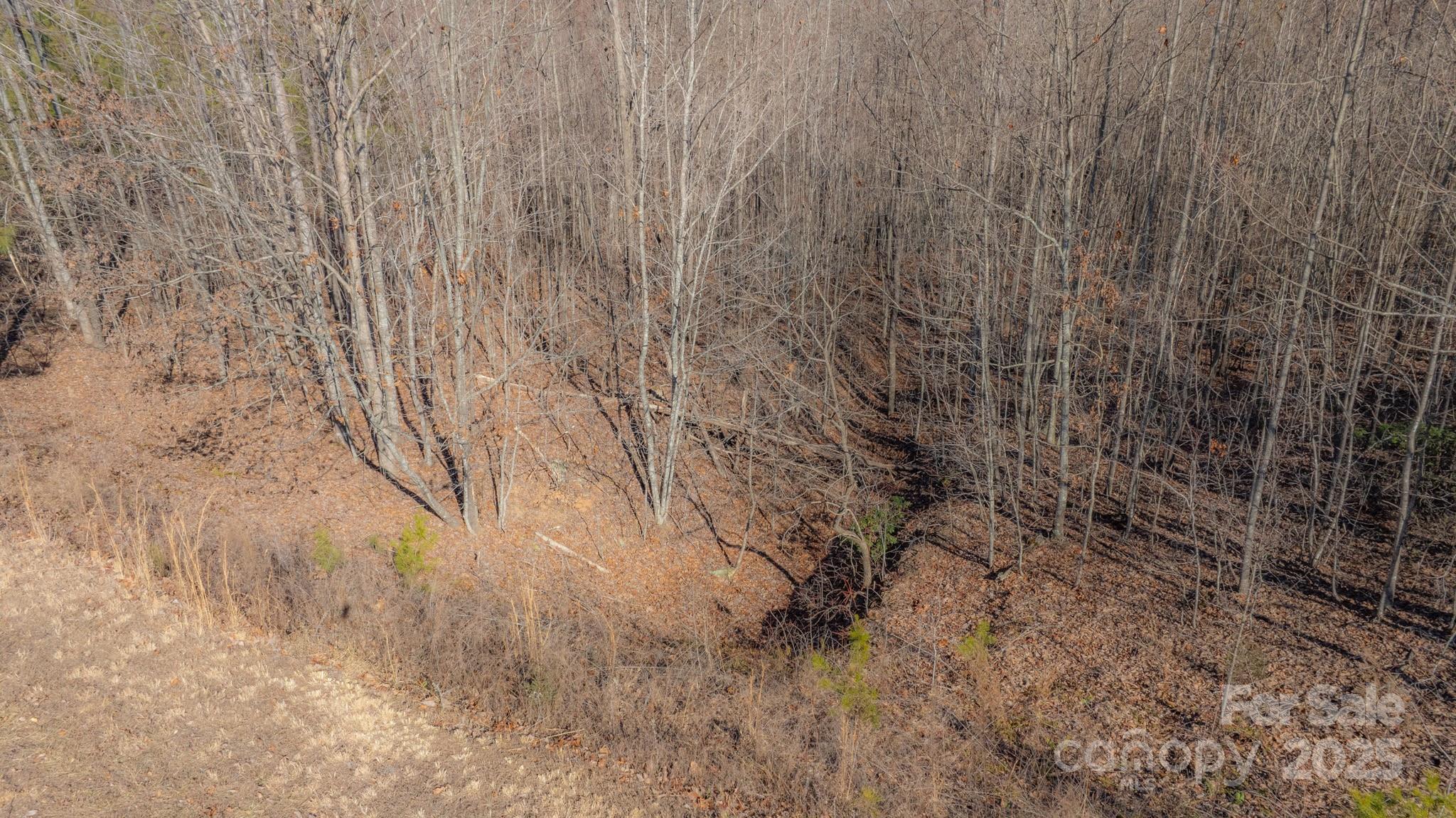 Tbd Coal Pit Mountain Road Nebo NC 28761