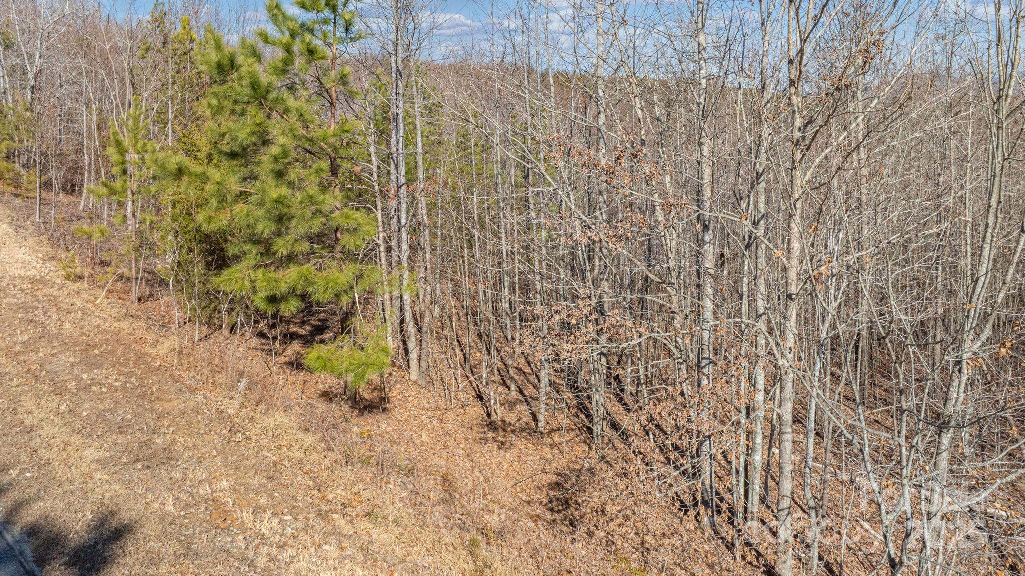 Tbd Coal Pit Mountain Road Nebo NC 28761