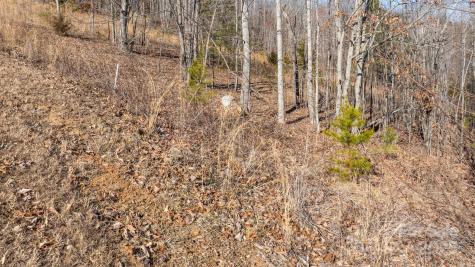 Tbd Coal Pit Mountain Road Nebo NC 28761