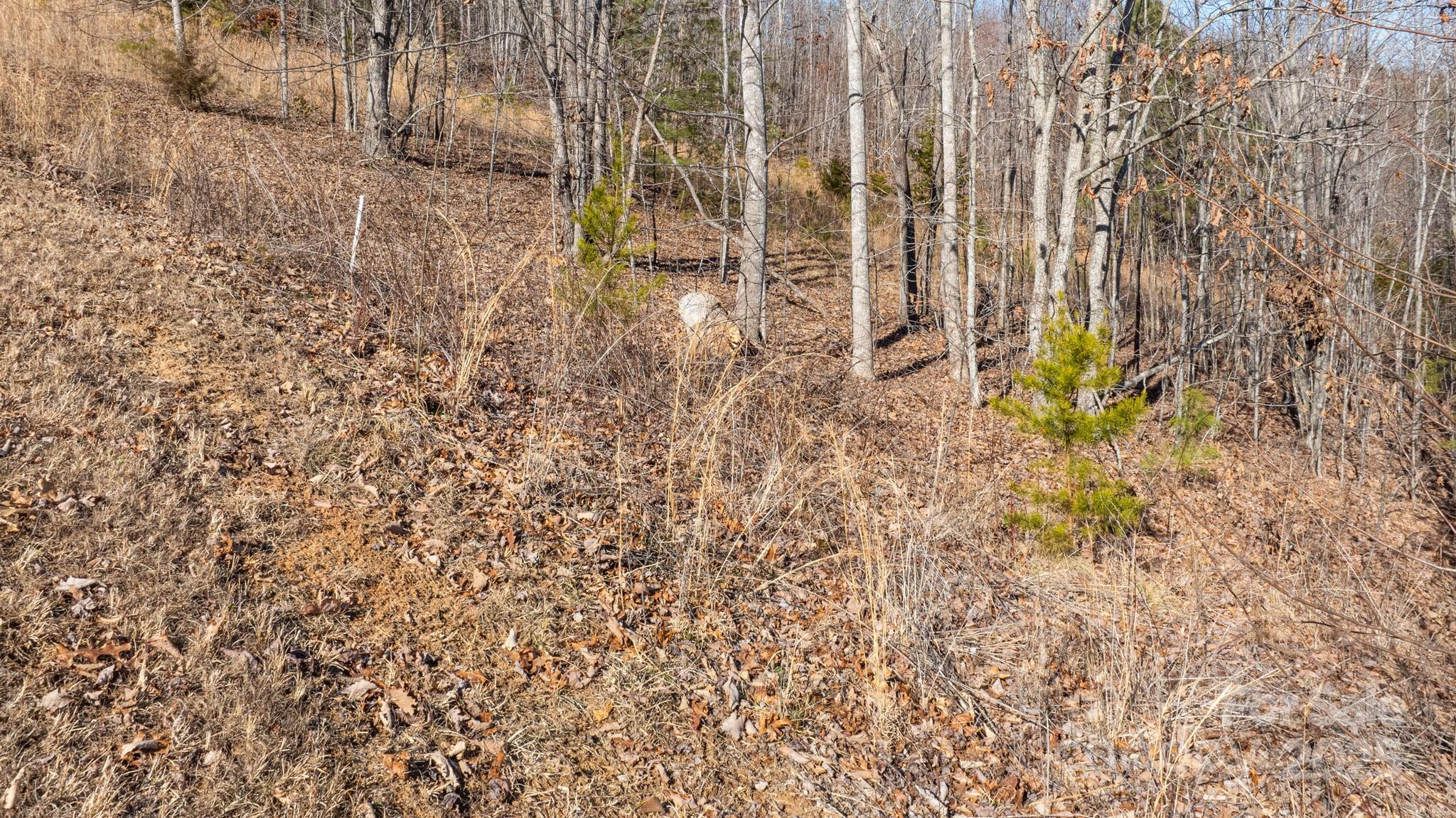 Tbd Coal Pit Mountain Road Nebo NC 28761