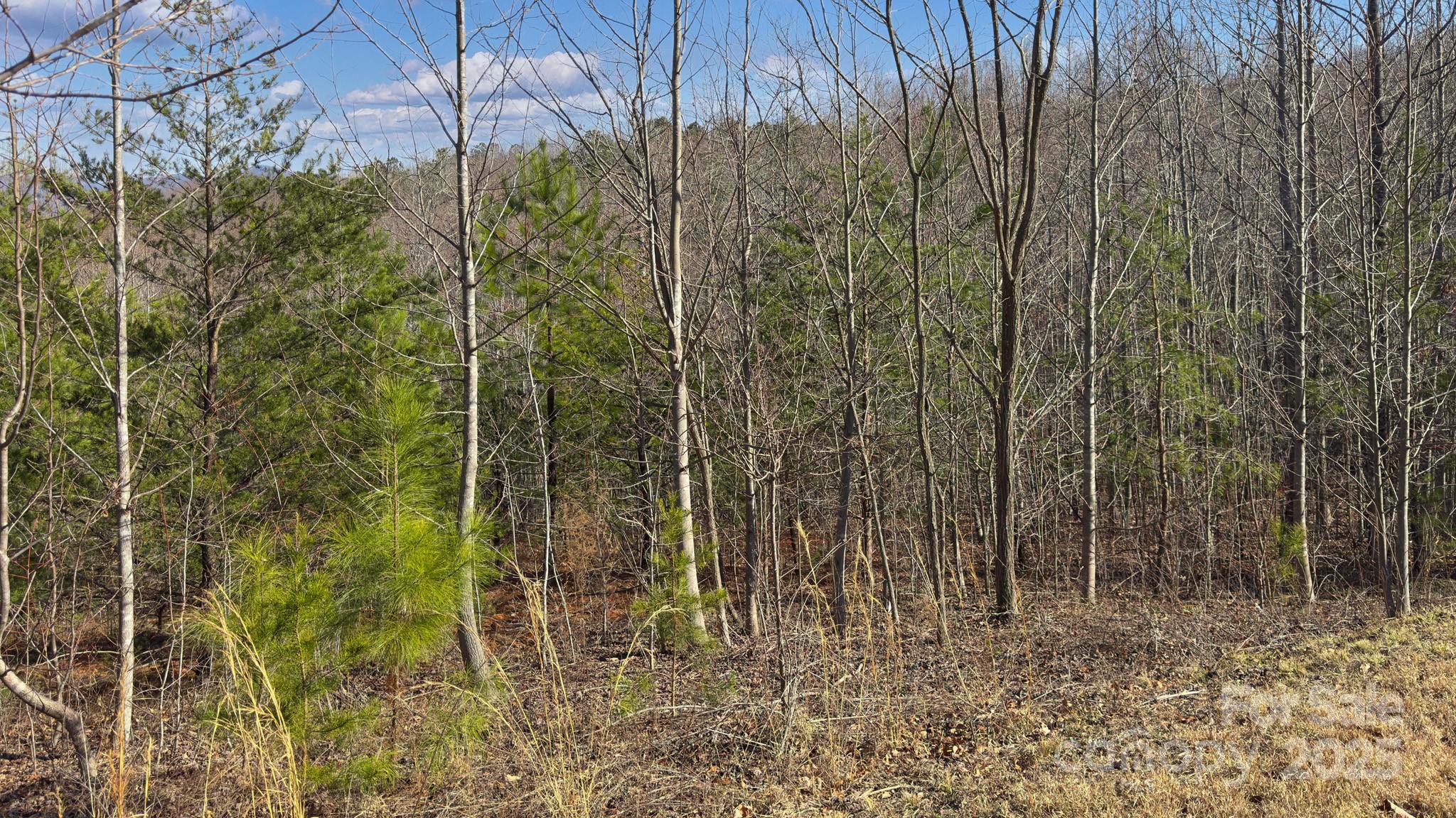 Tbd Coal Pit Mountain Road Nebo NC 28761