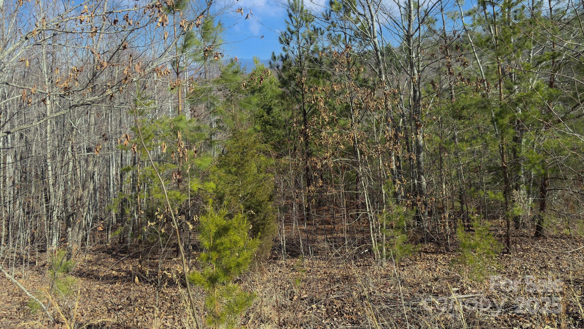 Tbd Coal Pit Mountain Road Nebo NC 28761