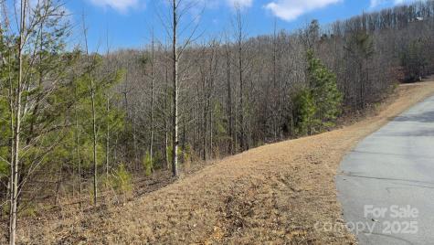 Tbd Coal Pit Mountain Road Nebo NC 28761
