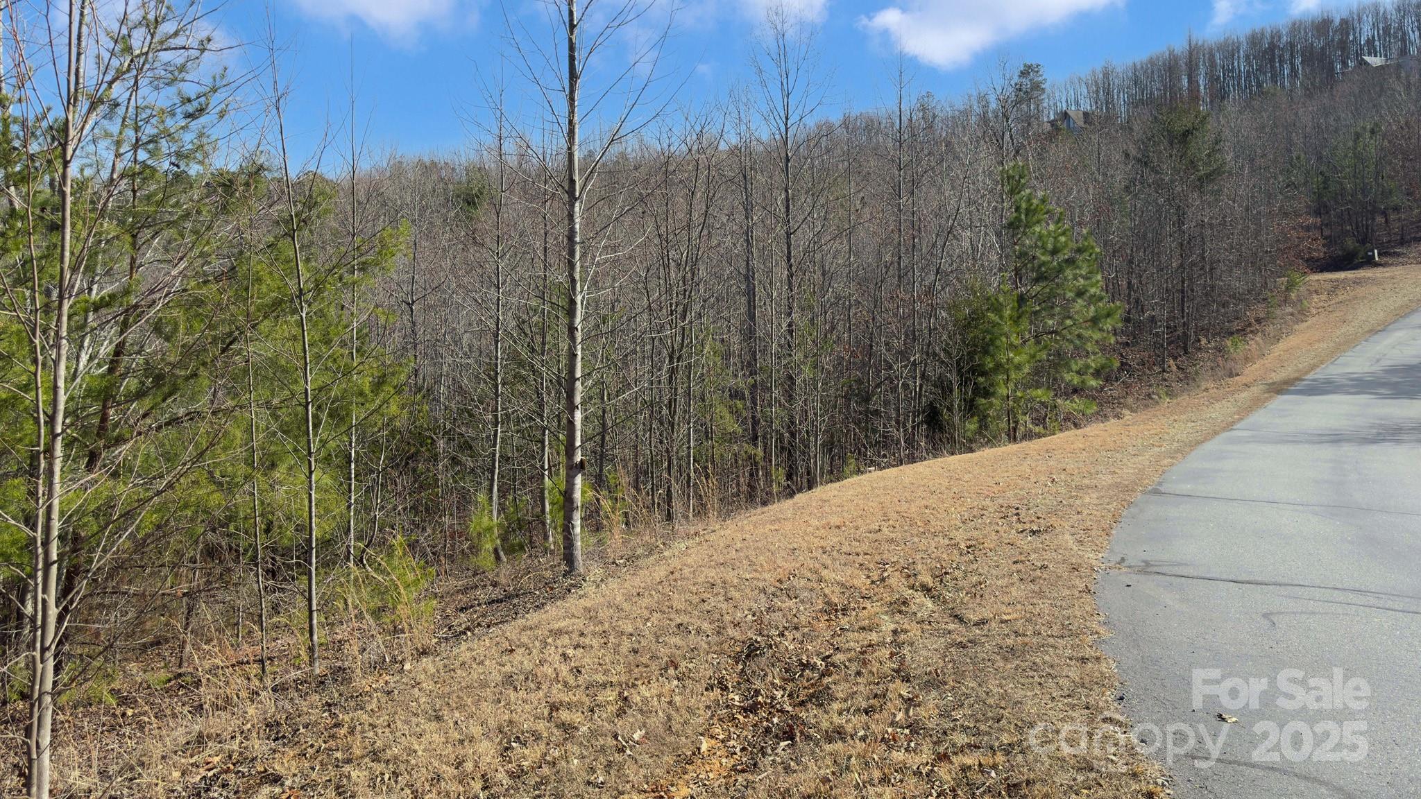 Tbd Coal Pit Mountain Road Nebo NC 28761
