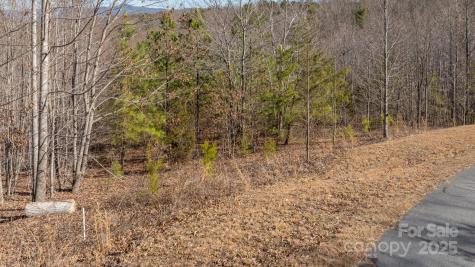 Tbd Coal Pit Mountain Road Nebo NC 28761