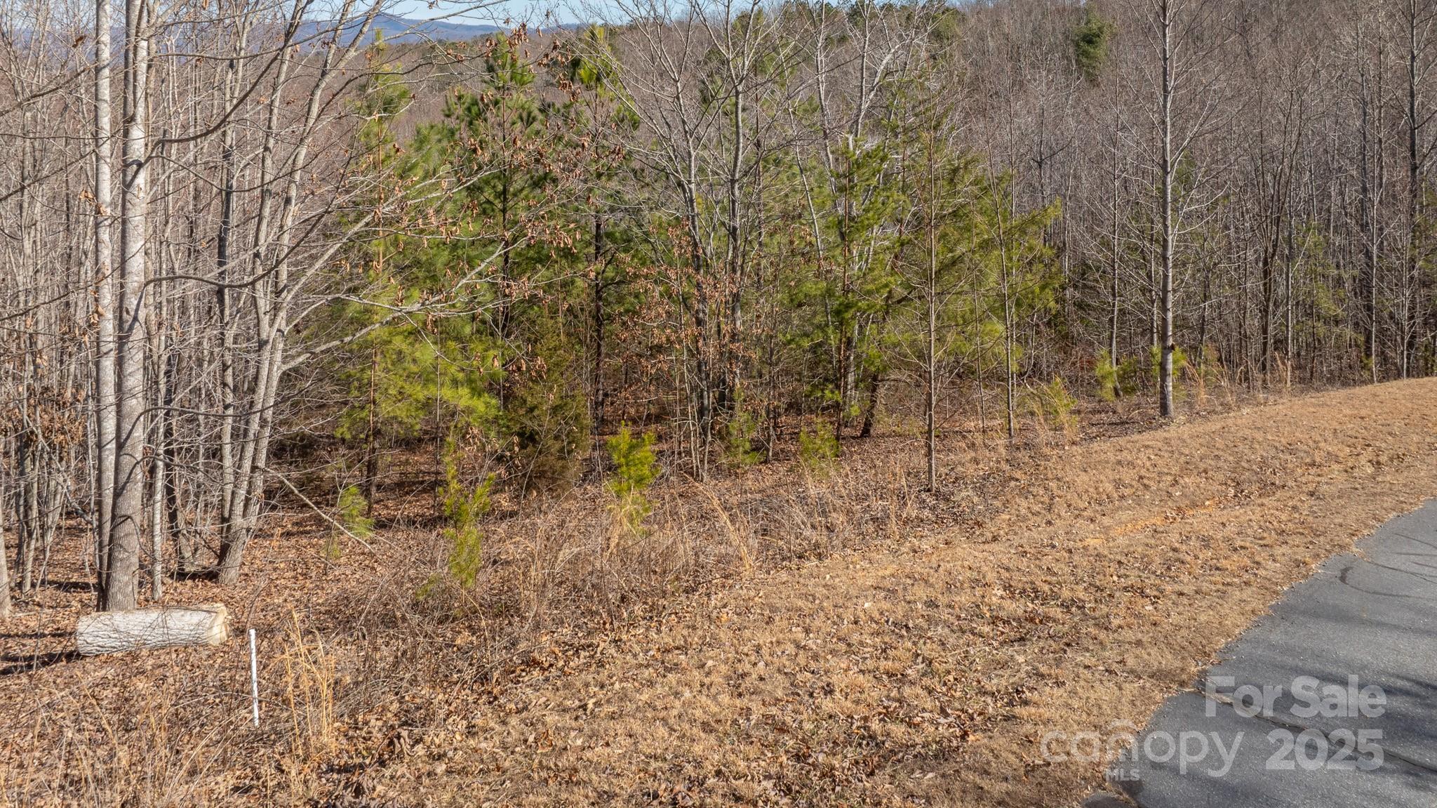 Tbd Coal Pit Mountain Road Nebo NC 28761