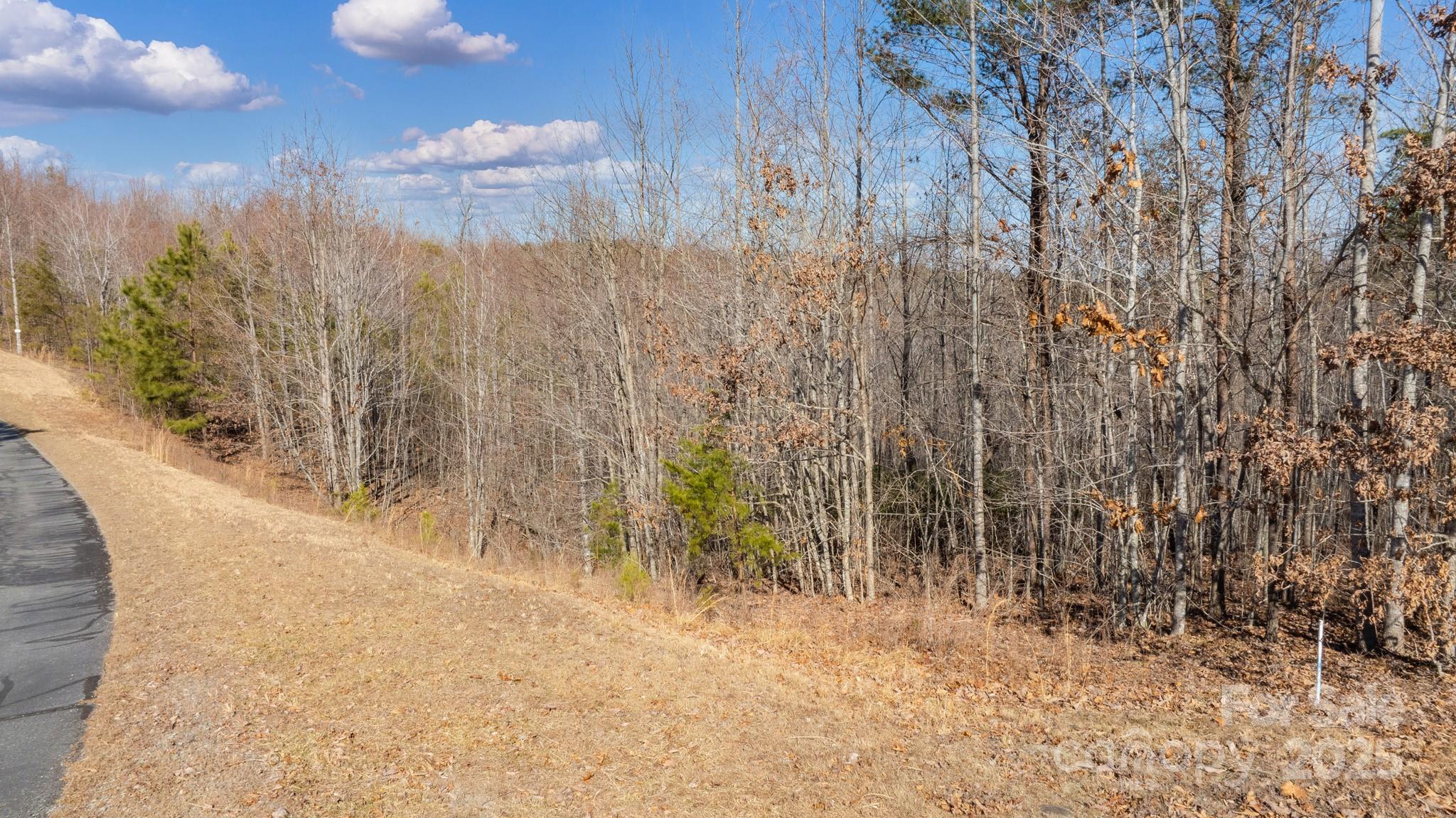 Tbd Coal Pit Mountain Road Nebo NC 28761